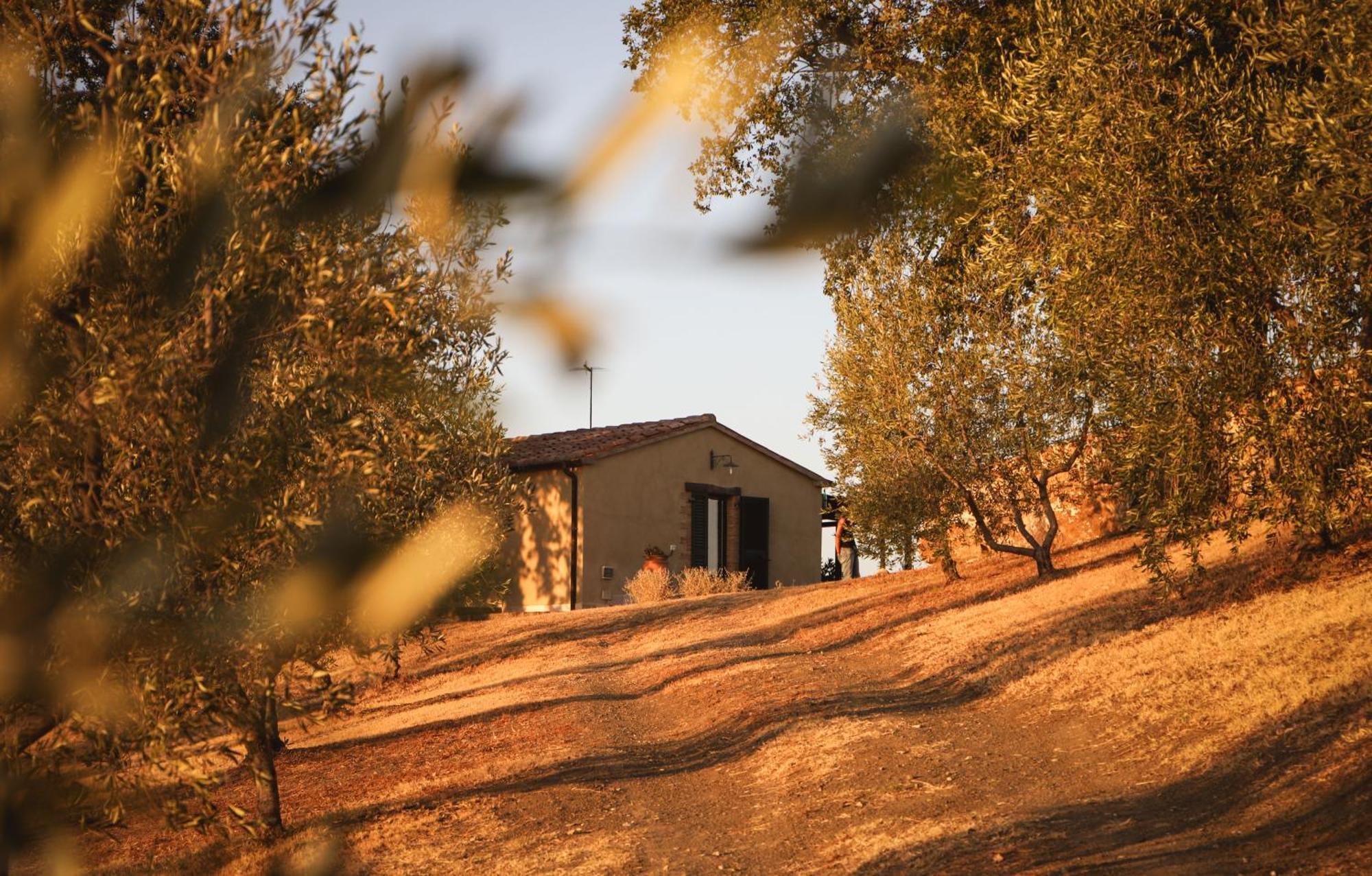 Country House Poggio Aione Guest House Catabbio Exterior photo